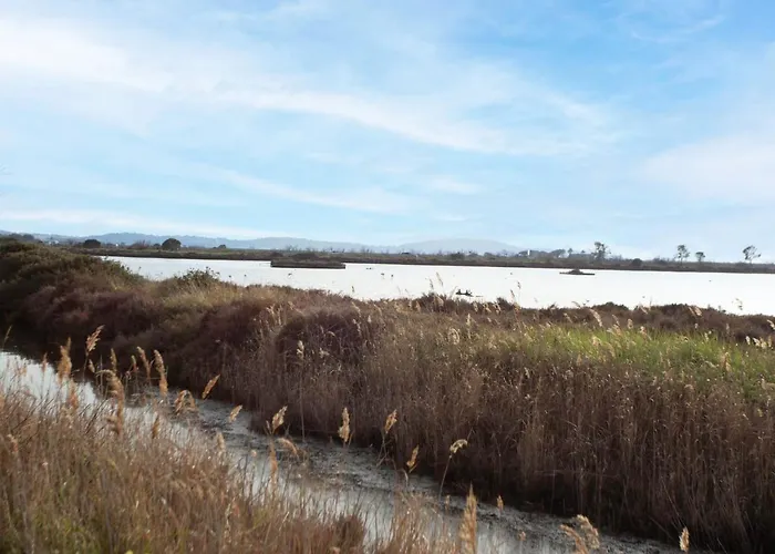 Les Regates-1 By Interhome Apartment